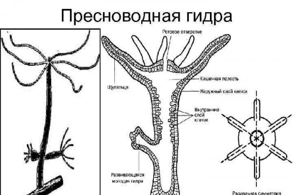 Кракен меф