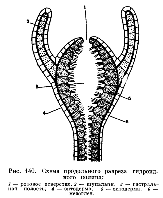 Kraken ссылка kraken014 com